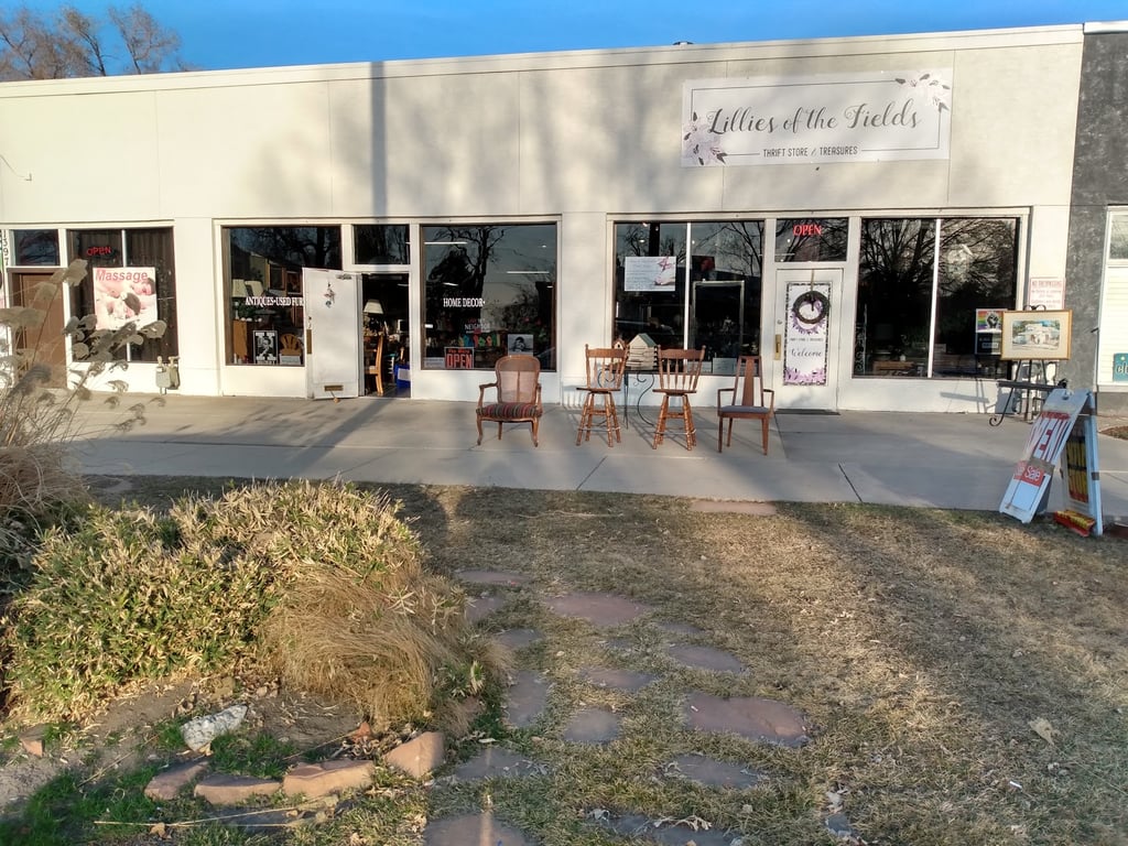 Lillies of The Field