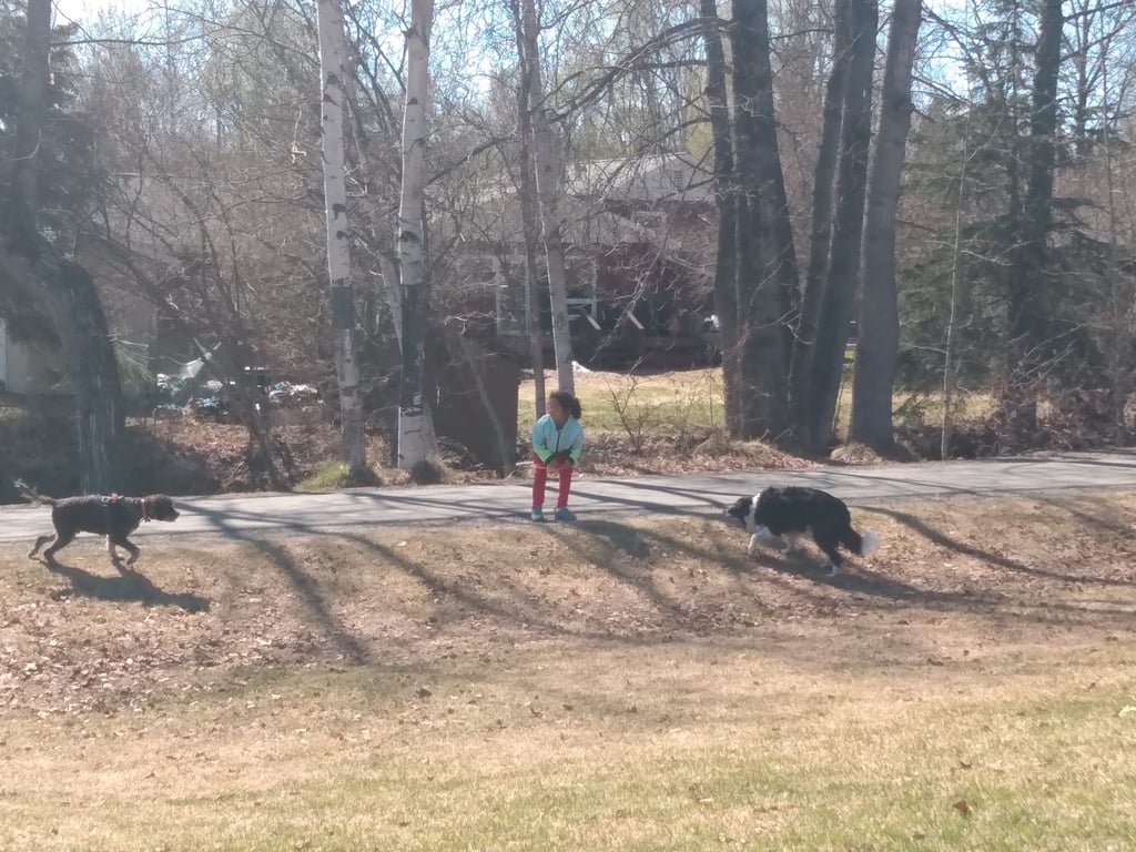 Valley of the Moon Dog Park