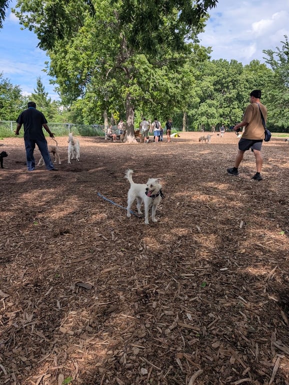 St. Anthony Parkway Off-Leash Dog Park