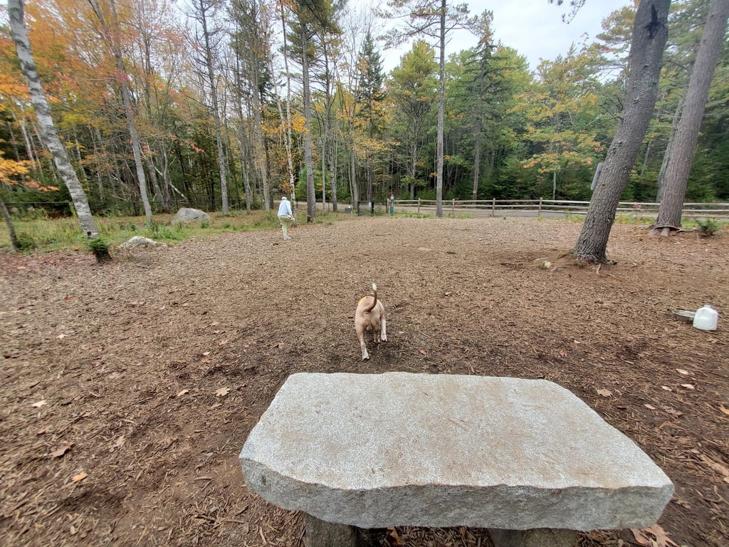 Meadow Woods Preserve Off Leash Dog Area