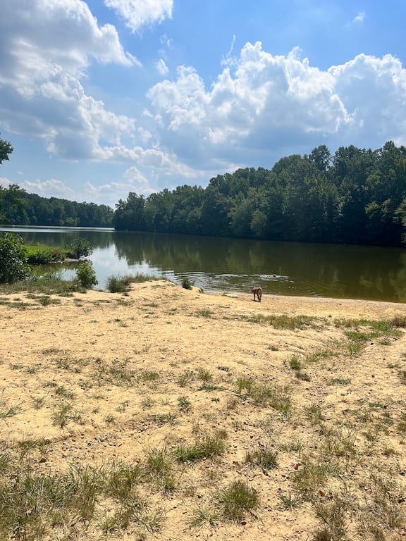 Lums Pond Dog Park