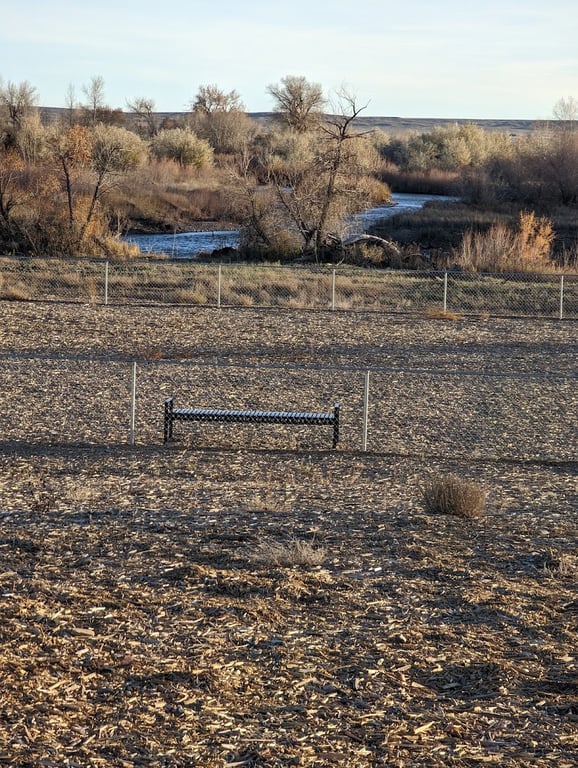 Dacey’s Place Dog Park