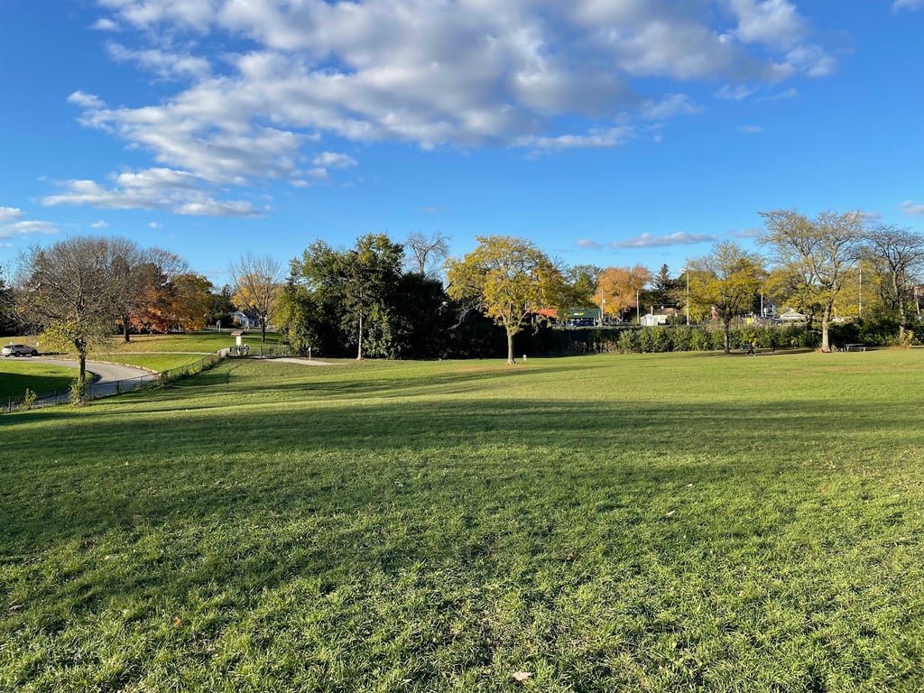 Currie Dog Park