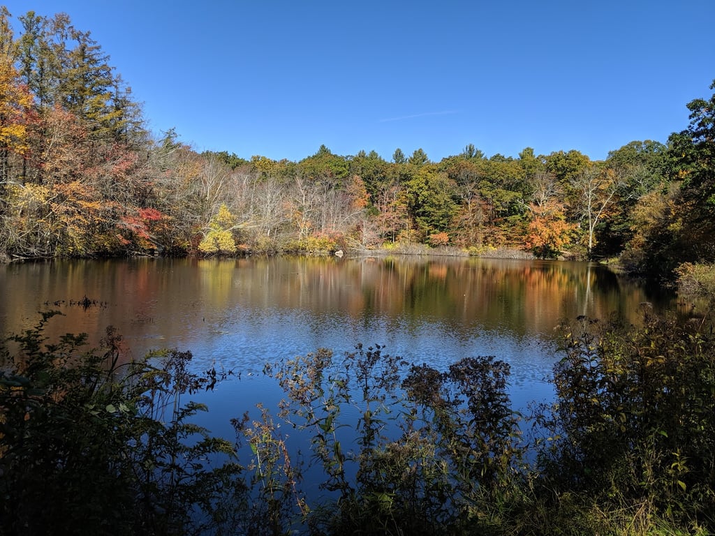 Frenchtown Park and Frye Nature Preserve