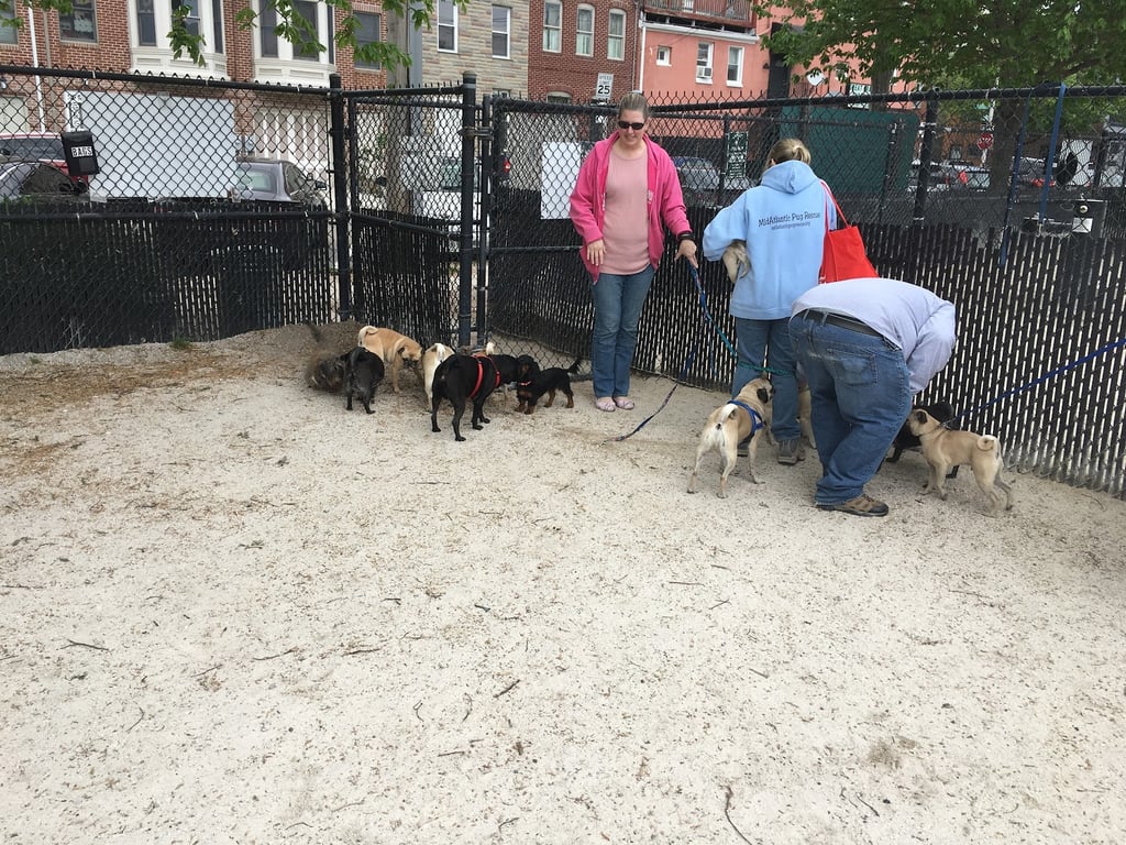 Canton Dog Park