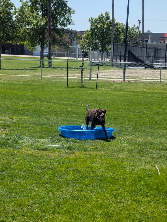 Terry Carpenter Dog Park