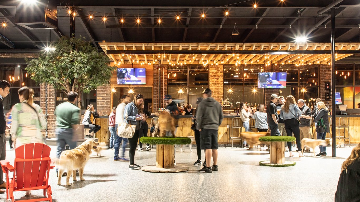 Park-9 Dog Bar