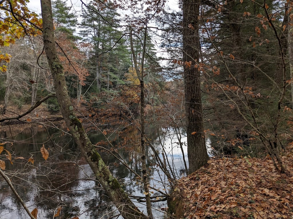 Contoocook River Walk