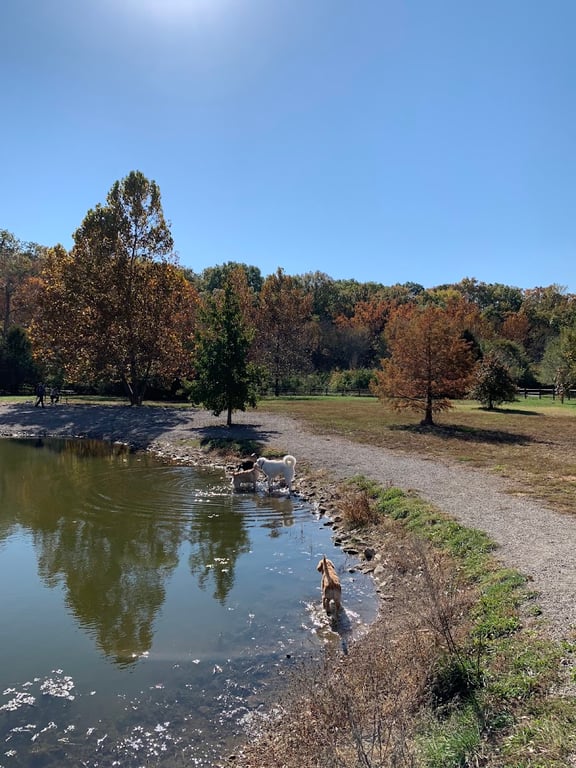 Garth Nature Area Dog Park