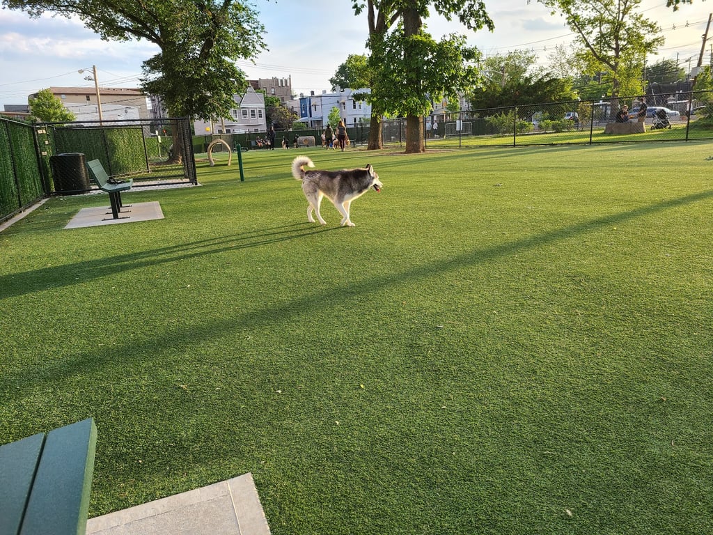 Washington Park Dog Run