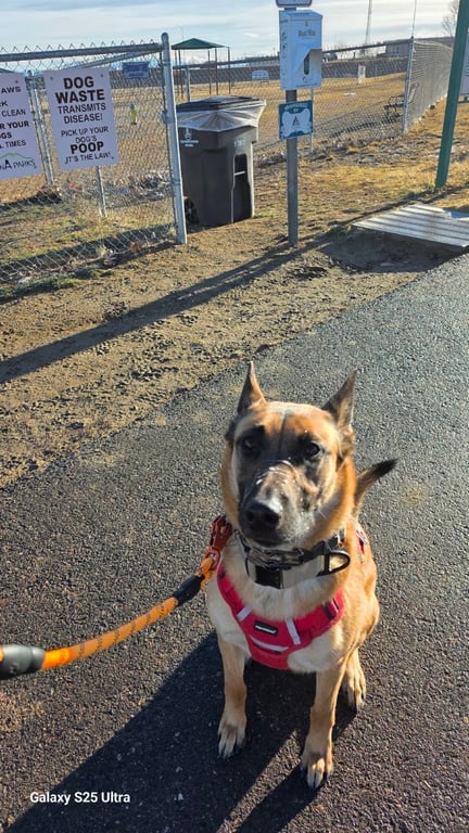 Paws Park Dog Park