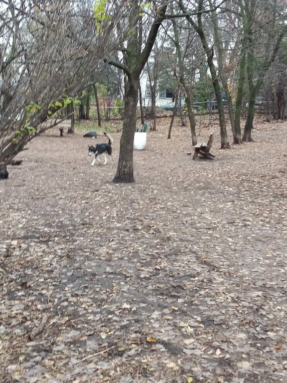 Arlington/Arkwright Off Leash Dog Park