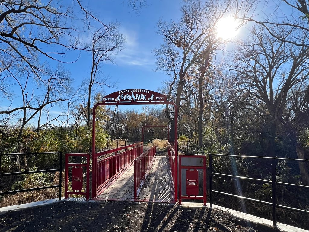 Black Squirrel Bark Park