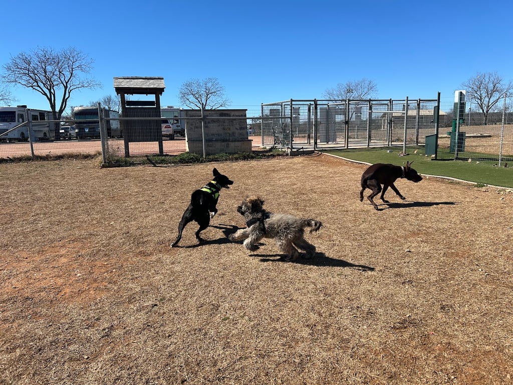 Fredericksburg Dog Park