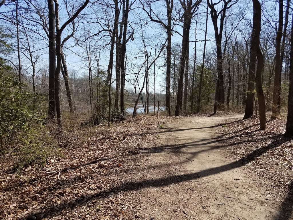Timber Creek Dog Park