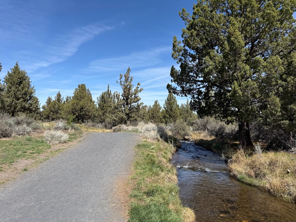 Big Sky Park Off-Leash Dog Area