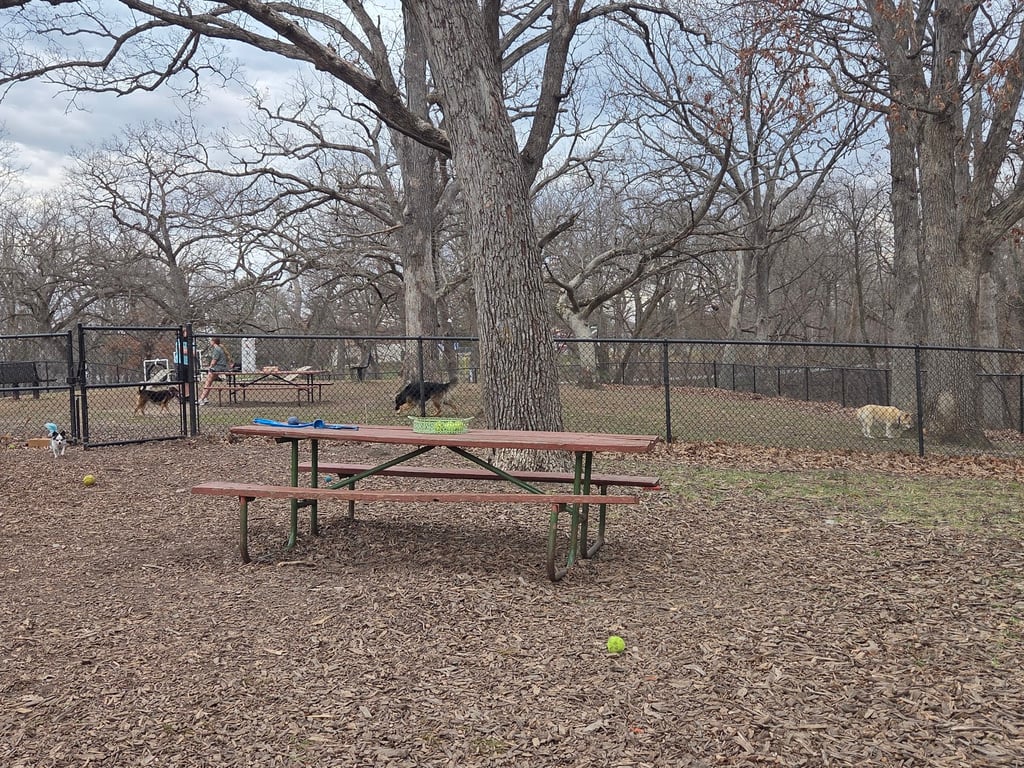 Canine Corral