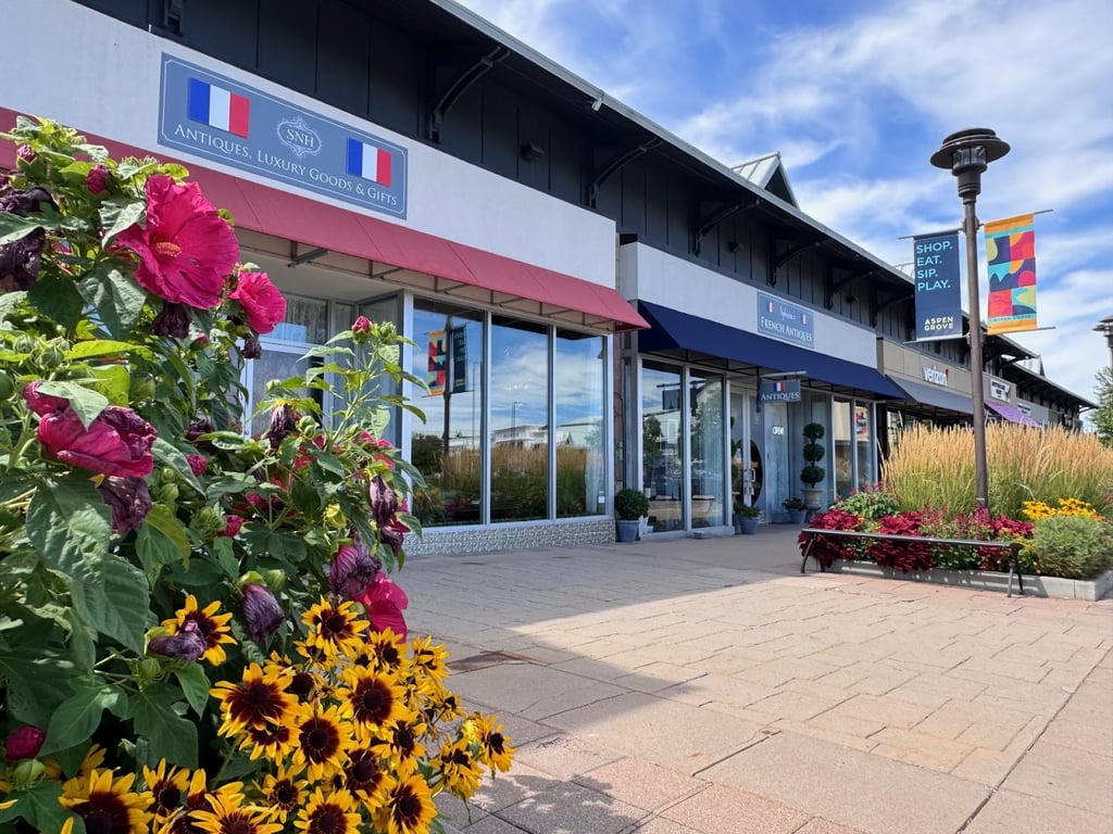 SNH French Antiques & Collectibles
