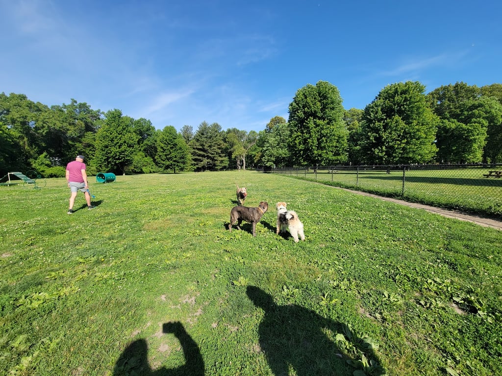 Woodland Dog Park