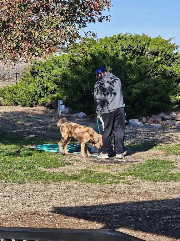 Hutchinson Dog Park