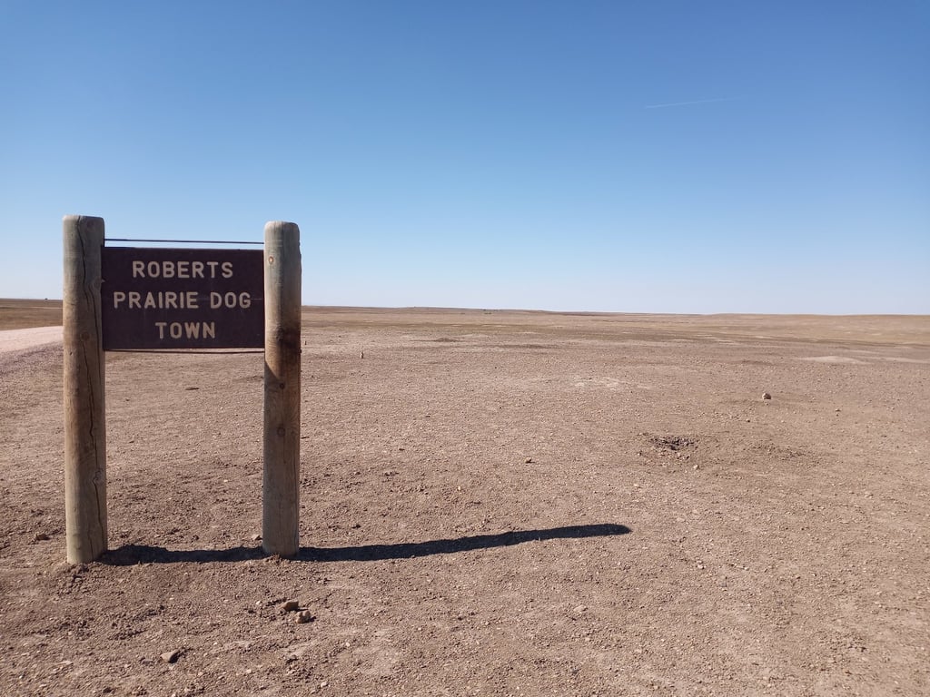 Roberts Prairie Dog Town