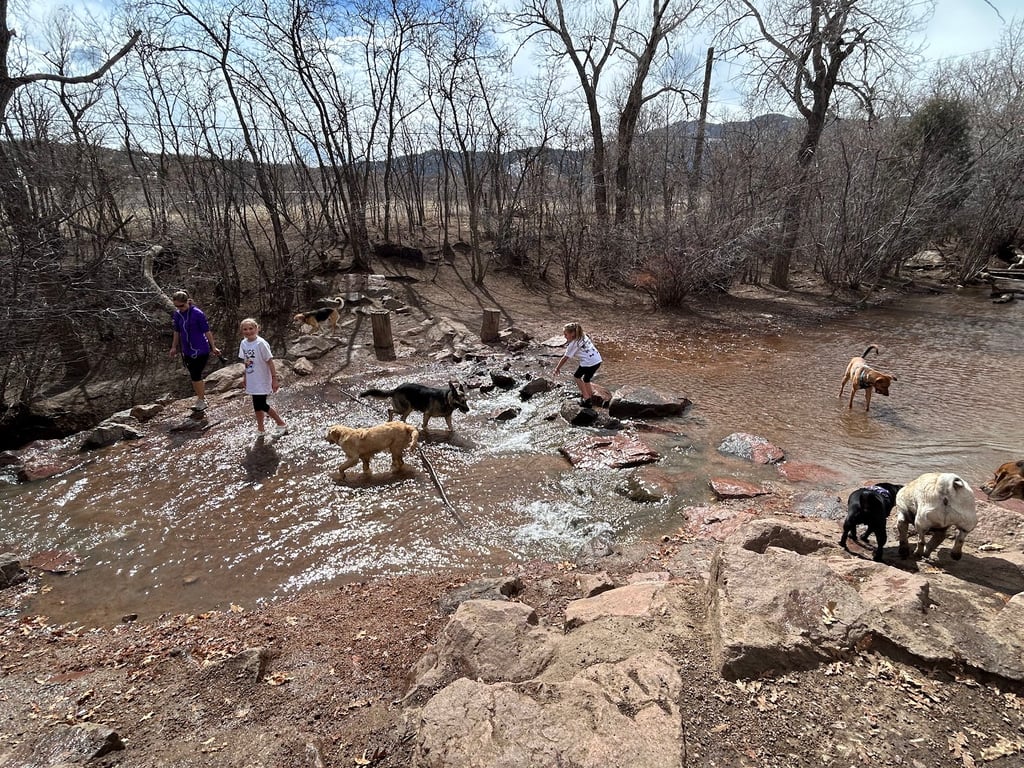 Bear Creek Dog Park