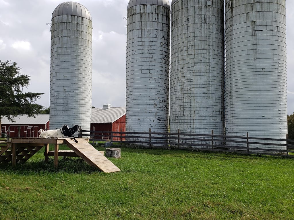 Kinder Farm Park