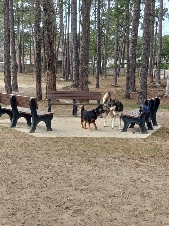 Gulf Shores Dog Park