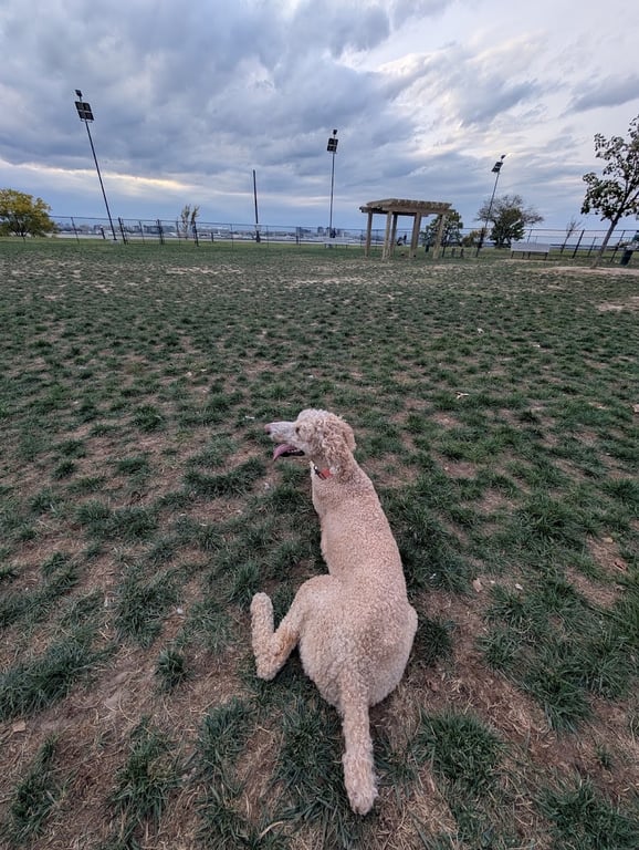 JBAB Dog Park