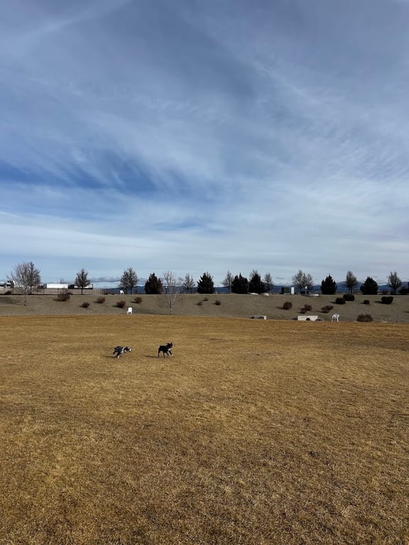 K9 Korral Dog Park