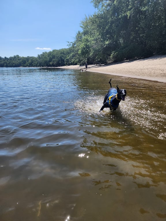 Minnehaha Dog Park