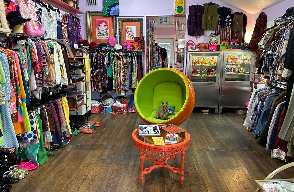 Photo of Pop Vintage