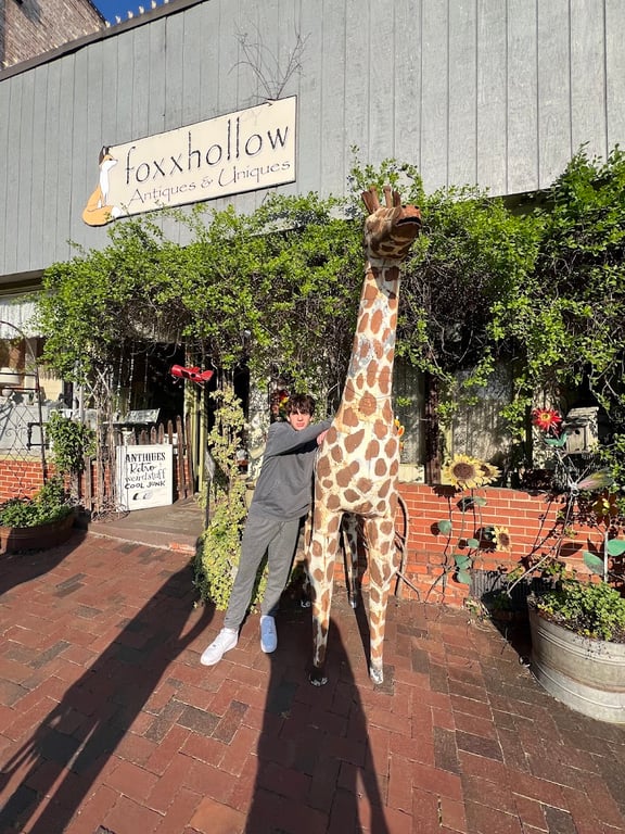 Photo of Foxxhollow Antiques