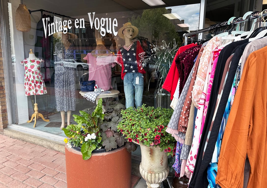 Vintage en Vogue