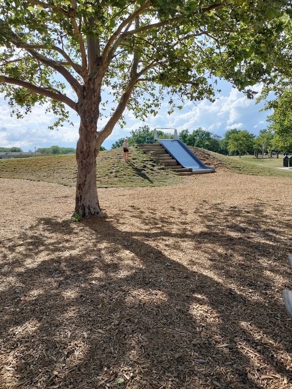 E. H. Young Riverfront Park Off-Leash Dog Park