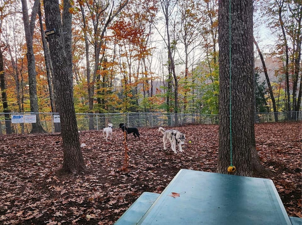 Sanford Dog Park