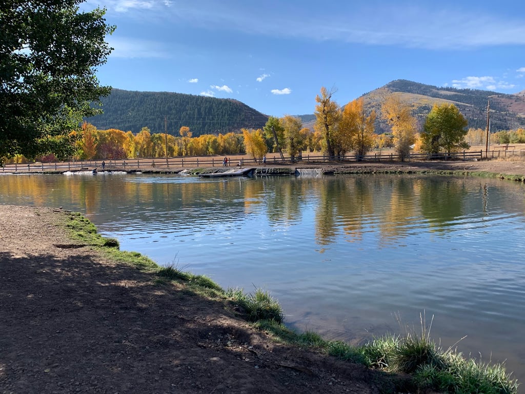 Willow Creek Dog Park