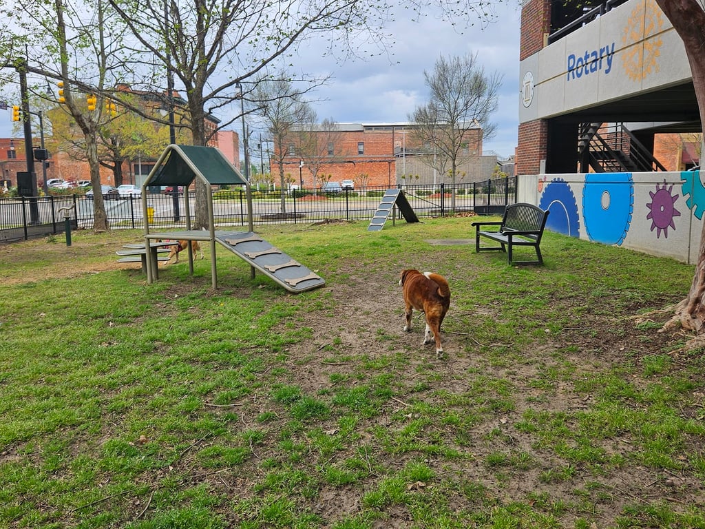 Rotary Dog Park