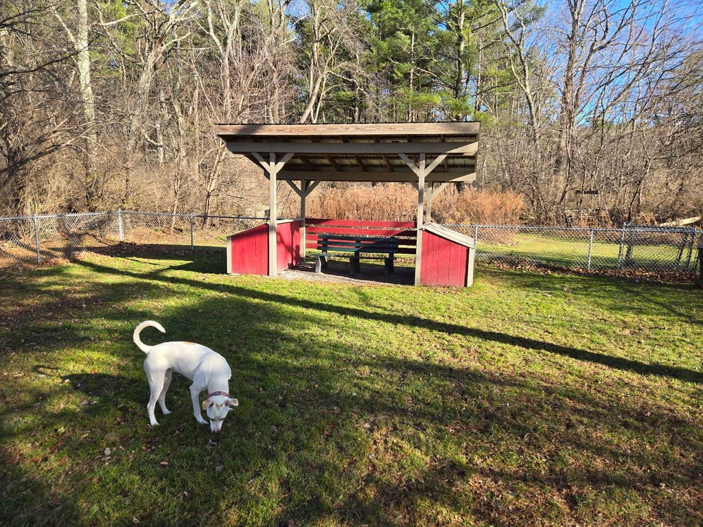 Manchester Dog Park