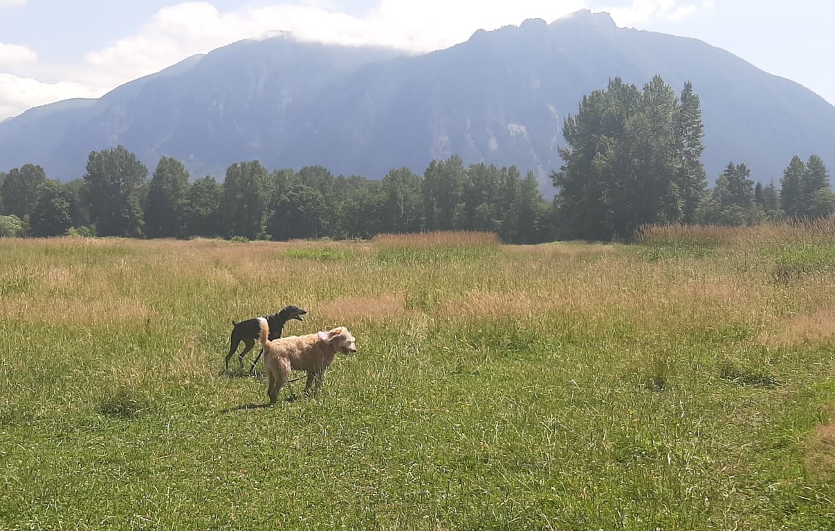 Three Forks Off-Leash Dog Park