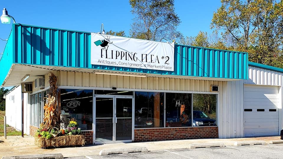 Flipping Flea #2