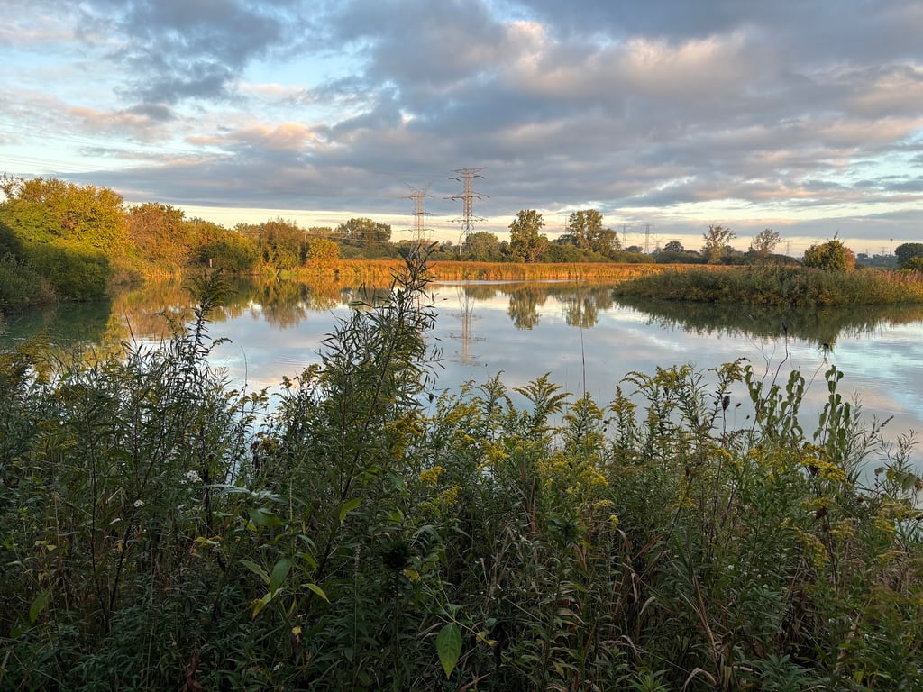 East Branch Off-leash Dog Park