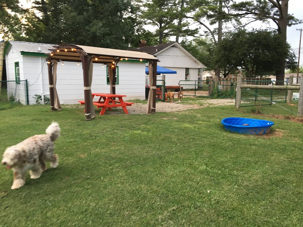 Kelly & Buddy’s Dog Park Club