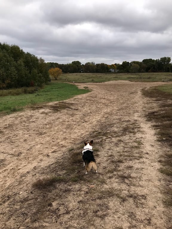 Rice Creek Off-Leash Dog Area