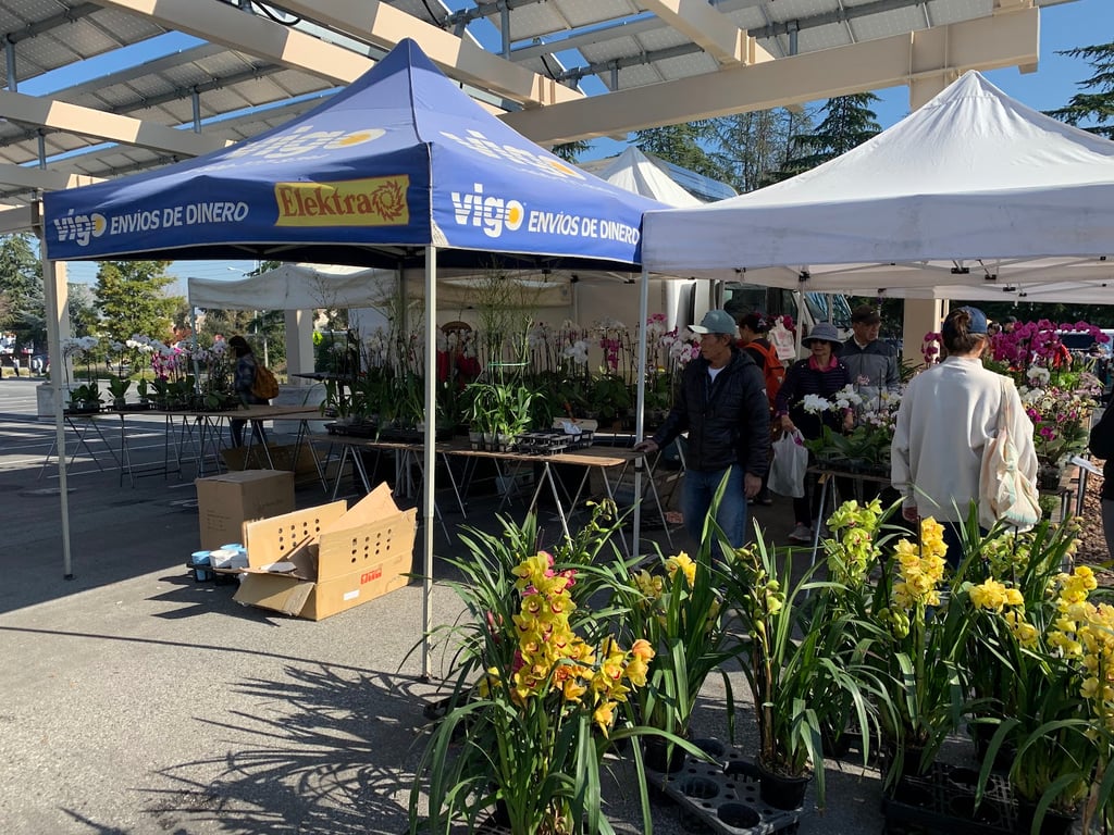 De Anza College Flea Market / DASG Flea Market