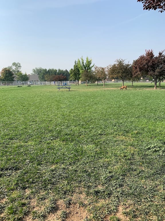 Central Bark Dog Park