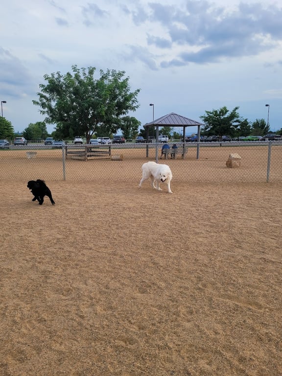 Broomfield Commons Dog Park