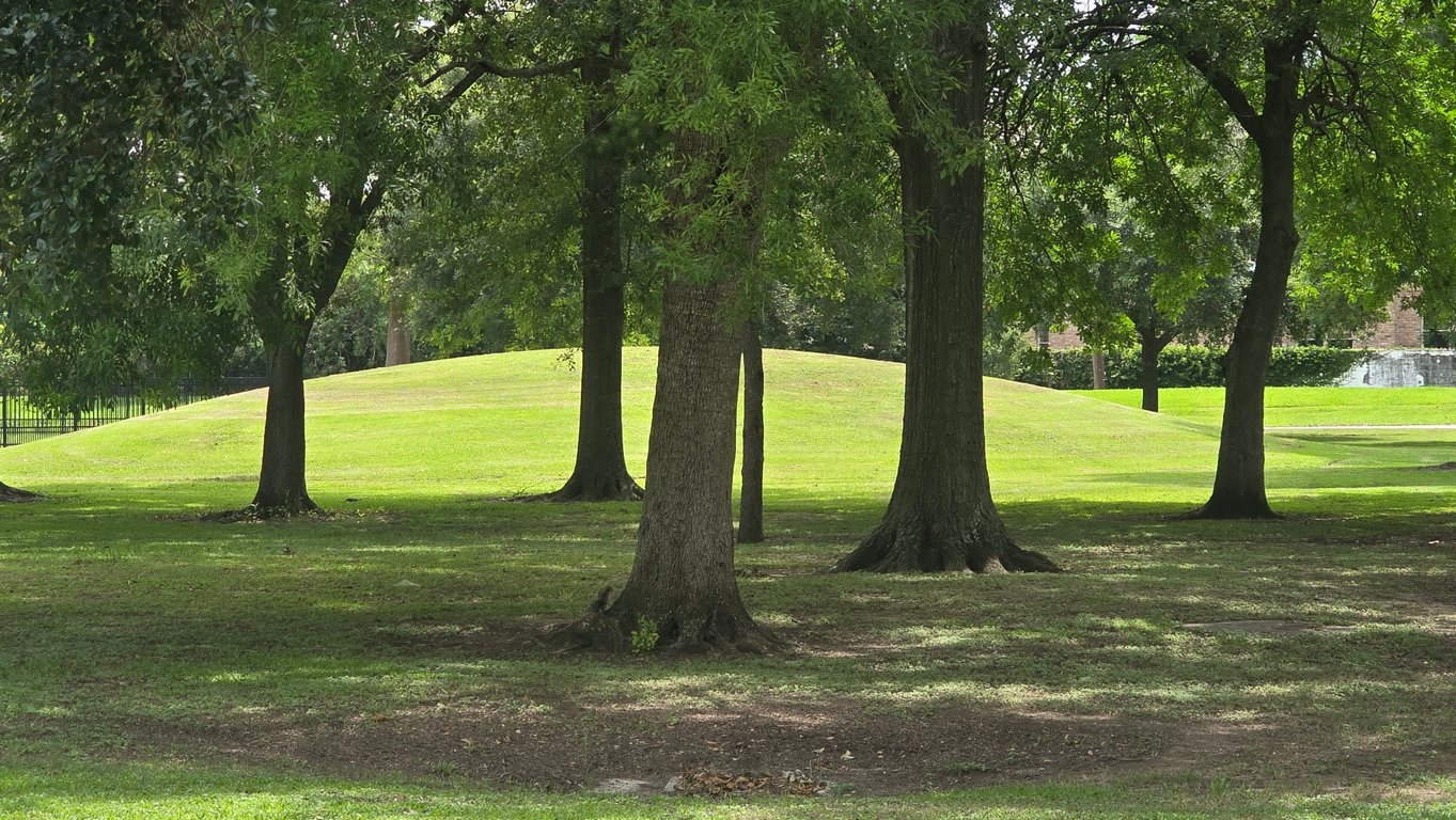 Pontiff Park Dog Park