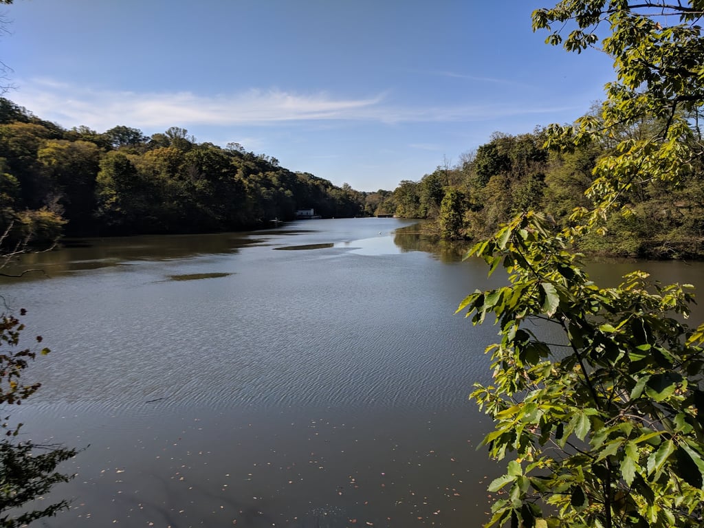 Paw Point Dog Park