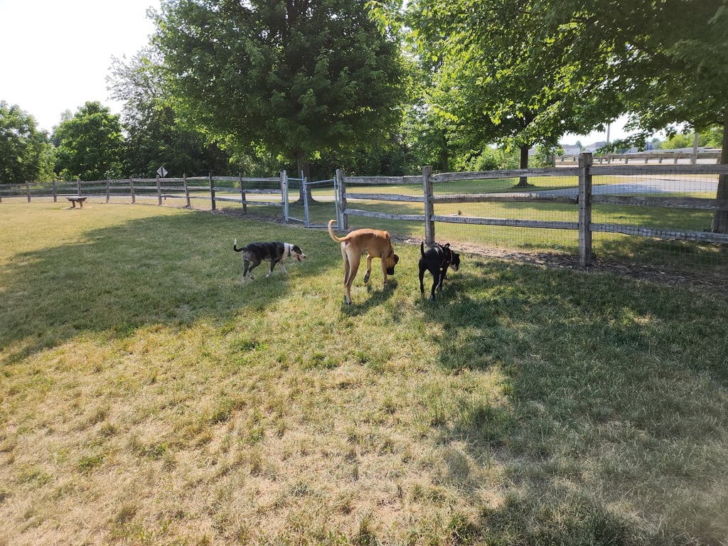 Daisy Dog Park